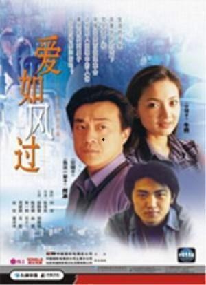 爱如风过 电视剧,一场跨越时光的浪漫邂逅